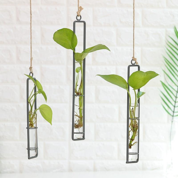 Home Gardening Iron Art Charm Glass Wall Hanging Plant Bonsai Decorative Accessories Size L Wall Hangings
