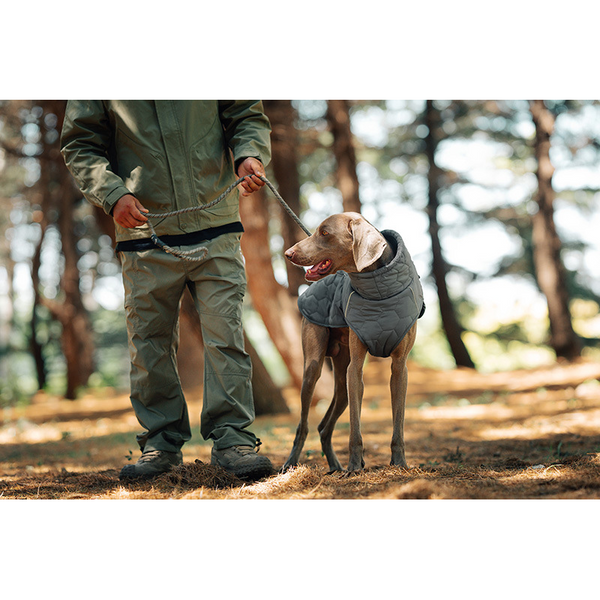 Thick And Warm Dog Clothing Outdoor Cotton Coat Vest For Winter Warmth Dog Clothing & Shoes