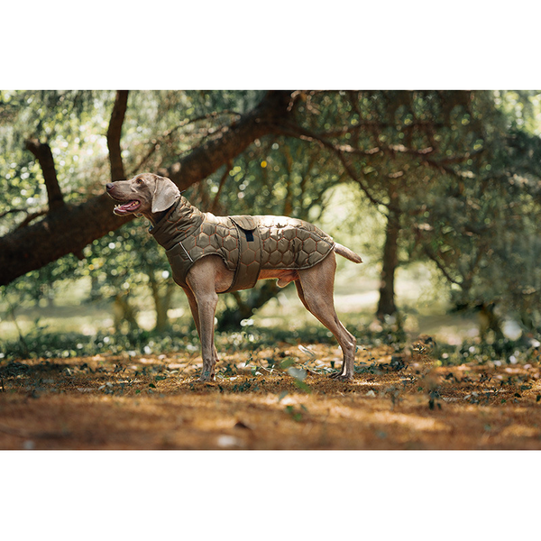 Thick And Warm Dog Clothing Outdoor Cotton Coat Vest For Winter Warmth Dog Clothing & Shoes