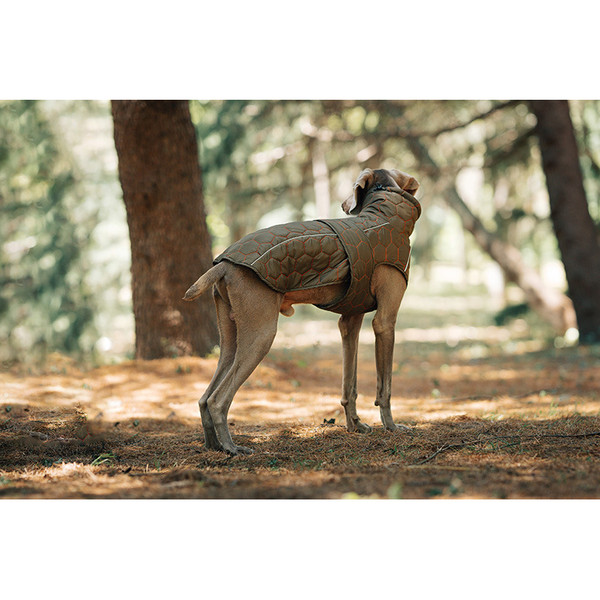 Thick And Warm Dog Clothing Outdoor Cotton Coat Vest For Winter Warmth Dog Clothing & Shoes