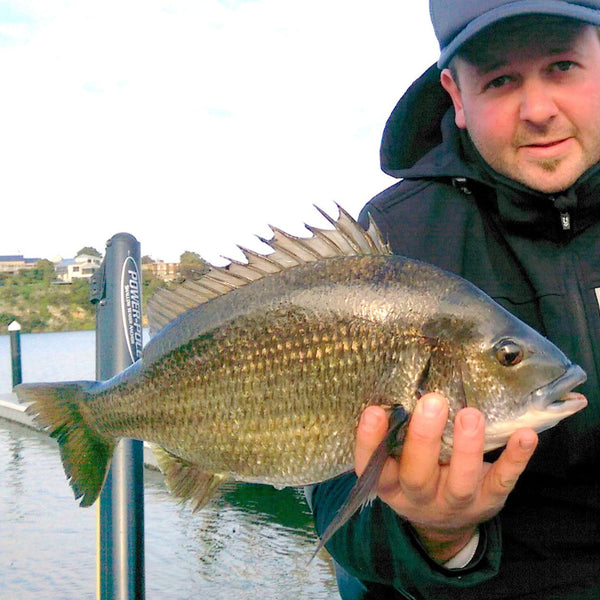 The Diving Lure Fishing Gift Pack Baits & Lures