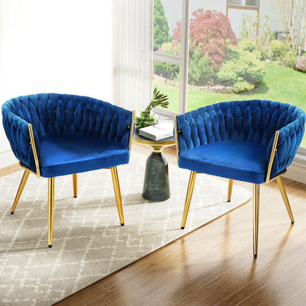 Artiss Of 2 Velvet Weaving Armchair Blue Dining Chairs