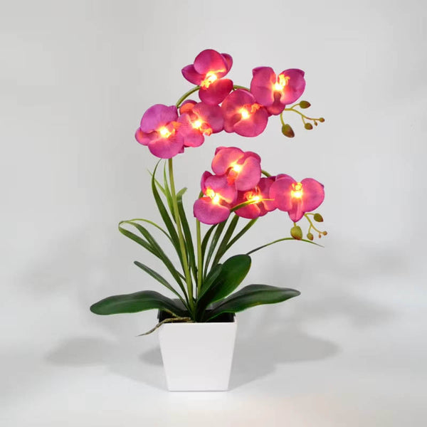 Led Battery Lighted Flower In Pot Orchid Blossom Phalaenopsis Holiday Wedding Home Decoration Gift Floral Décor