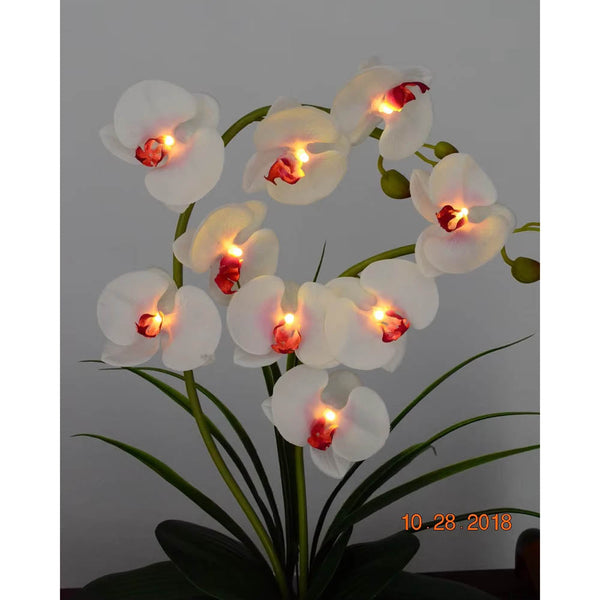 Led Battery Lighted Flower In Pot Orchid Blossom Phalaenopsis Holiday Wedding Home Decoration Gift Floral Décor