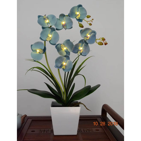 Led Battery Lighted Flower In Pot Orchid Blossom Phalaenopsis Holiday Wedding Home Decoration Gift Floral Décor