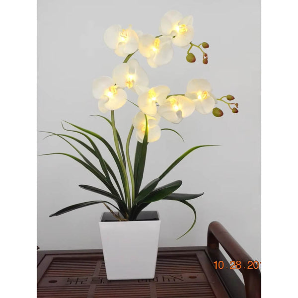 Led Battery Lighted Flower In Pot Orchid Blossom Phalaenopsis Holiday Wedding Home Decoration Gift Floral Décor