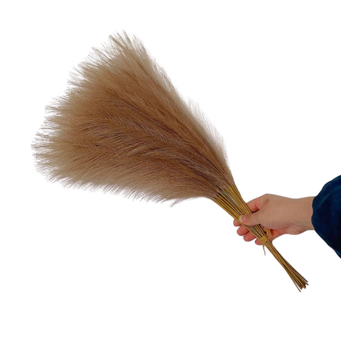 Elosung 20 Sticks Natural Brown Pampas Grass Bouquet 21.65" Fluffy Dried For Decor Events Floral Décor