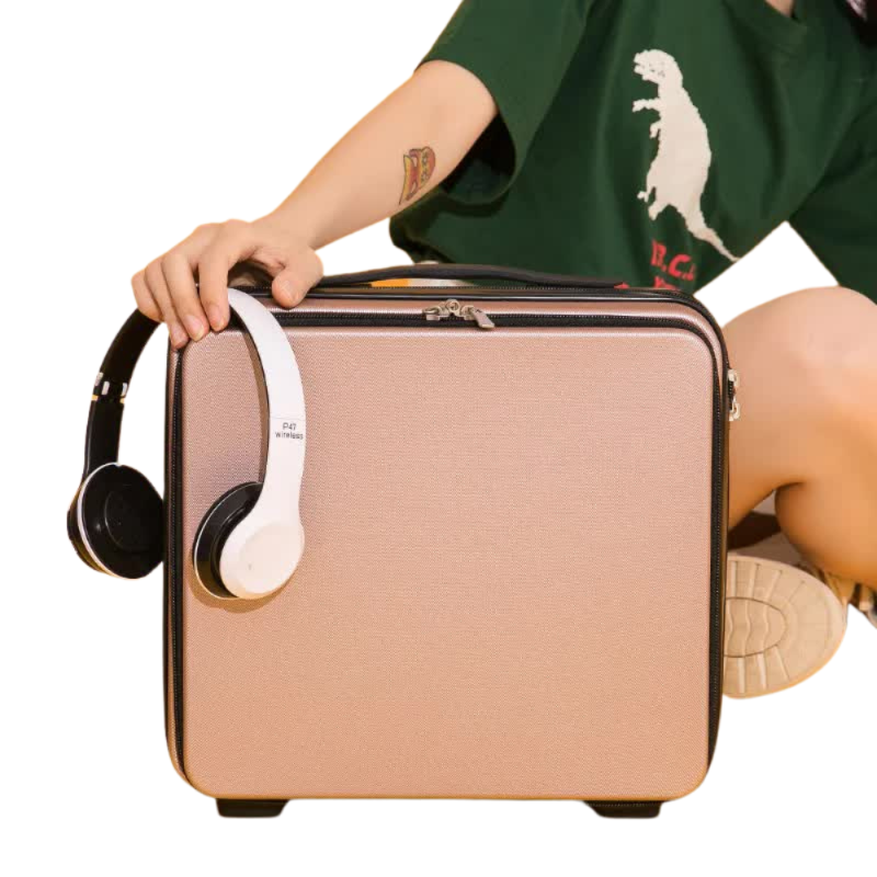 Elosung Pink Gray Mini 16 Inch Password Protected Abs Storage And Carry On Luggage Box | Front Opening Cosmetic Organizer Lightweight 1.46Kg Travel Ca