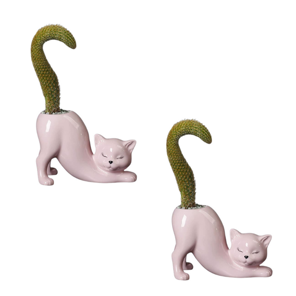Elosung 2Pcs Pink Cute Cat Ceramic Flower Pot Decorative Succulent Planter For Home And Office Baskets Pots Window Boxes