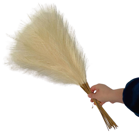 Elosung 20 Sticks Natural Beige Pampas Grass Bouquet 21.65" Fluffy Dried For Decor Events Floral Décor