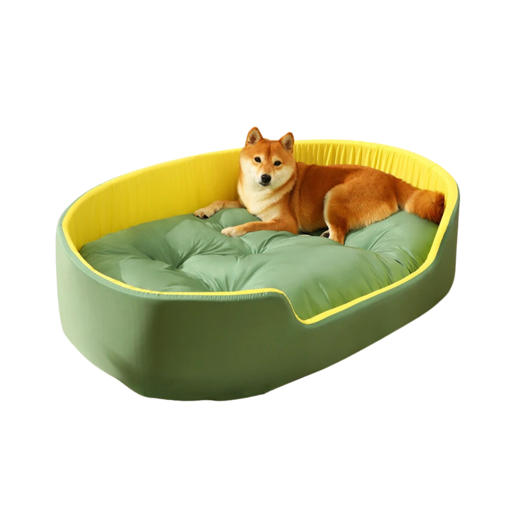 Pet Bed Apple Green Double Sided Dog Mat Kennel Soft Fleece Sofa Pet Beds