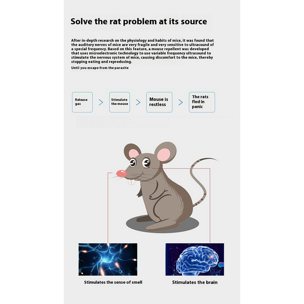 Upgraded Version Ultrasonic Pest Repeller Electronic Rat Insect Killer Ultrasonic Pest Repellers