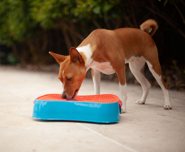 4 In 1 Slow Feeder Dog Bowl Blue And Warm Ocean Red Lickmat Dishes Feeders & Fountains