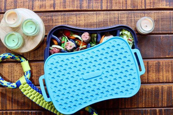 4 In 1 Slow Feeder Dog Bowl Dark Grey With Blue Lickmat Dishes Feeders & Fountains