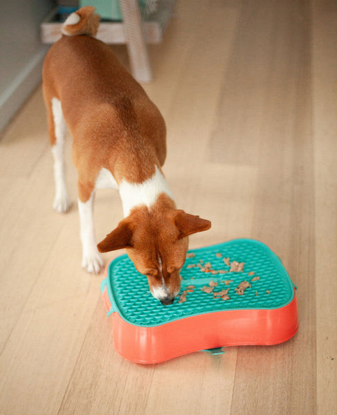 4 In 1 Slow Feeder Dog Bowl Warm Ocean Red With Teal Lickmat Dishes Feeders & Fountains