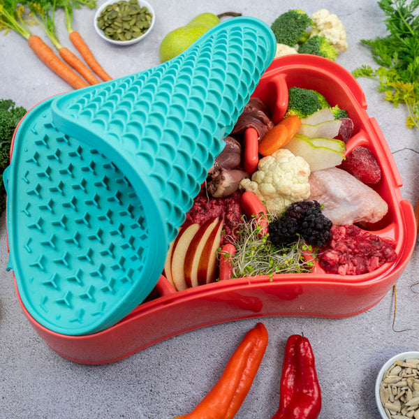 4 In 1 Slow Feeder Dog Bowl Warm Ocean Red With Teal Lickmat Dishes Feeders & Fountains