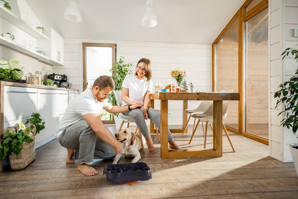 Marley Slowappy Feeder Dog Bowl Dark Grey Pet Care Supplies Dishes Feeders & Fountains