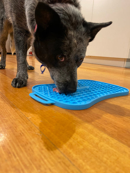 Marley Slowappy Reversible Dog Lick Mat Pet Care Feeding Blue Dog Feeding Mats