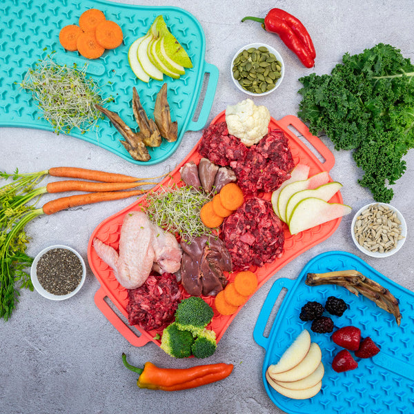 Marley Slowappy Reversible Dog Lick Mat Pet Care Feeding Warm Ocean Red Dog Feeding Mats