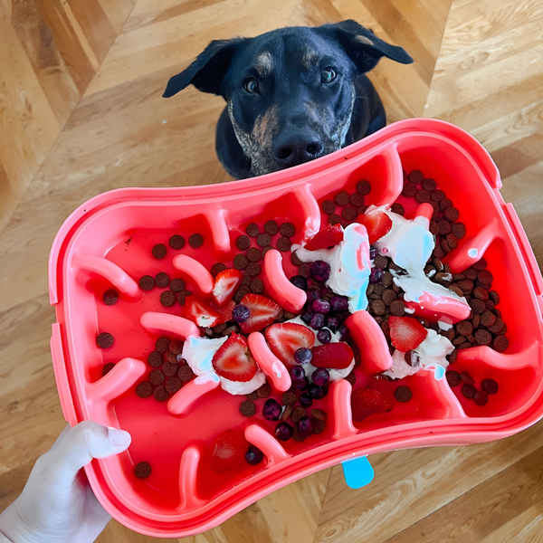 Marley Slowappy Feeder Dog Bowl Warm Ocean Red Pet Care Supplies Dog Bowls