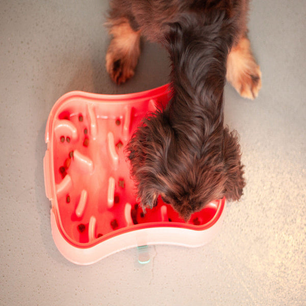 Marley Slowappy Feeder Dog Bowl Warm Ocean Red Pet Care Supplies Dog Bowls