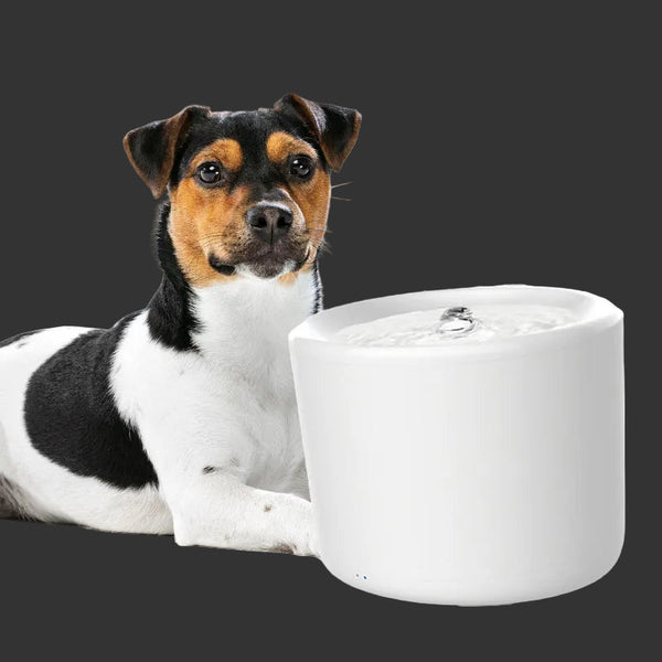 Tech4pets 5 Pack Water Fountain Replacement Filters Dishes Feeders & Fountains