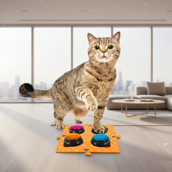 Tech4pets Orange Mat 2 Pack For Talking Buttons & Floor Dog Feeding Mats