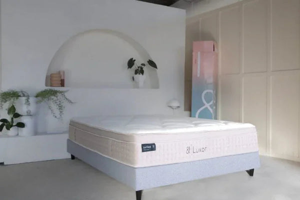 And Sleep Luxor Mattress Queen Mattresses
