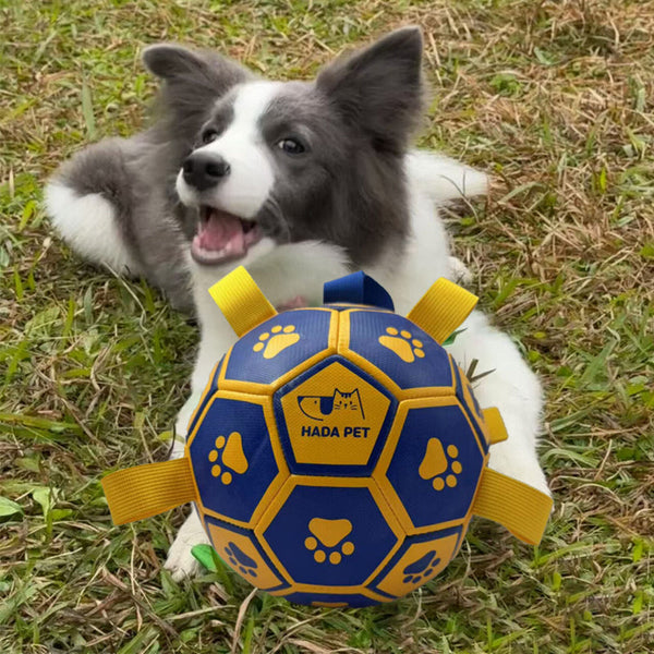 Little Yellow Duck Dog Toy With Rope Interactive Tug Of War Ball For Small & Medium Dogs Dog Toys