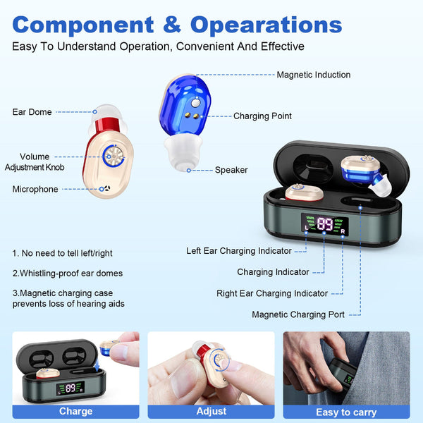 Rechargeable In The Ear Hearing Aids With Charging Case And Lcd Display Ultra Compact Sound Amplifier For Seniors (Black & Green Red Blue Device) Othe