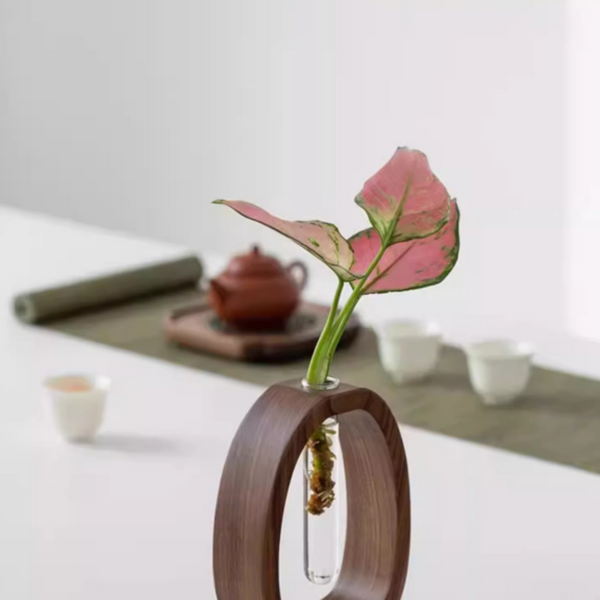 Glass Vase Minimalist Desktop Flower For Water Plants And Blooms Vases