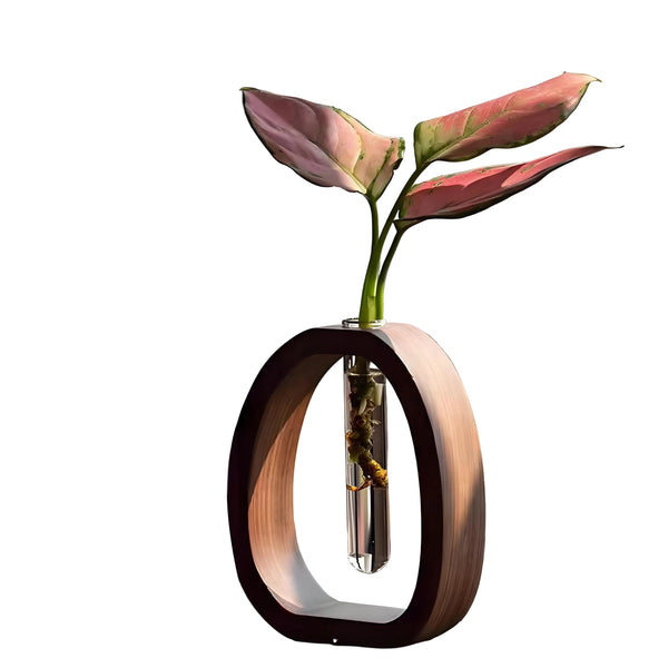 Glass Vase Minimalist Desktop Flower For Water Plants And Blooms Vases