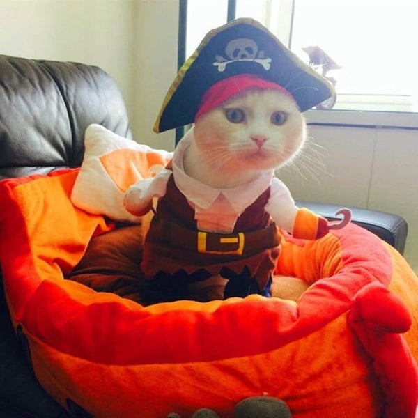 Funny Pet Pirate Costume Cat & Dog Outfit With Hat (Large) Dog Clothing & Shoes