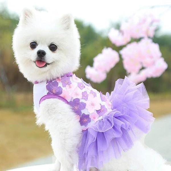 Fall Dog Dresses For Small Dogs Girl 3 Pack Cute Puppy Outfit (Xl) Dog Clothing & Shoes