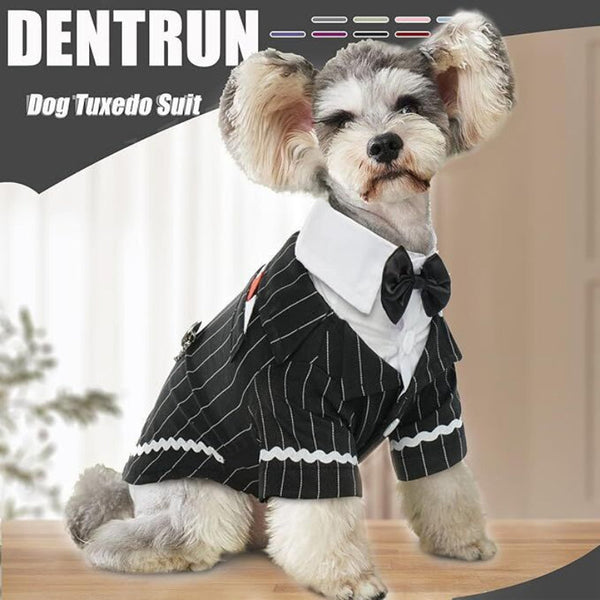 Dog & Cat Tuxedo Suit With Bow Tie Formal Black White Striped Pet Costume Shirt Dog Clothing & Shoes
