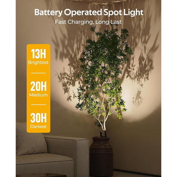 2Pk Rechargeable Spotlight For Plants Art Pictures No Glare Dimmable Wall Fixtures