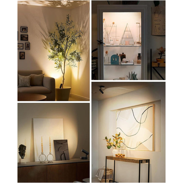 2Pk Rechargeable Spotlight For Plants Art Pictures No Glare Dimmable Wall Fixtures