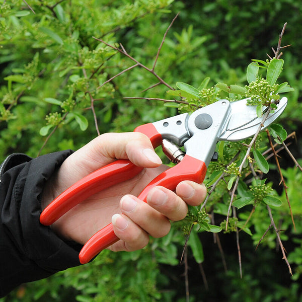 Left Handed Secateurs 210Mm Side Cutting 25Mm Capacity Pruning Shears & Snips