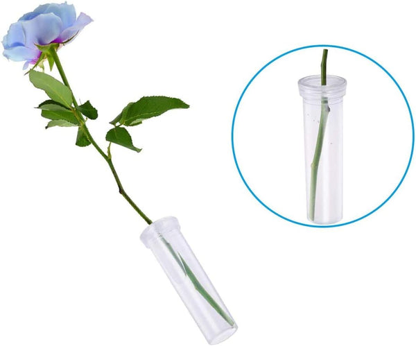 21 Pack 60Ml Large Floral Tubes With Rack Holder For Milkweed Cuttings Raising Caterpillars Monarchs Butterflies Flower Arrangements Crafting Tools