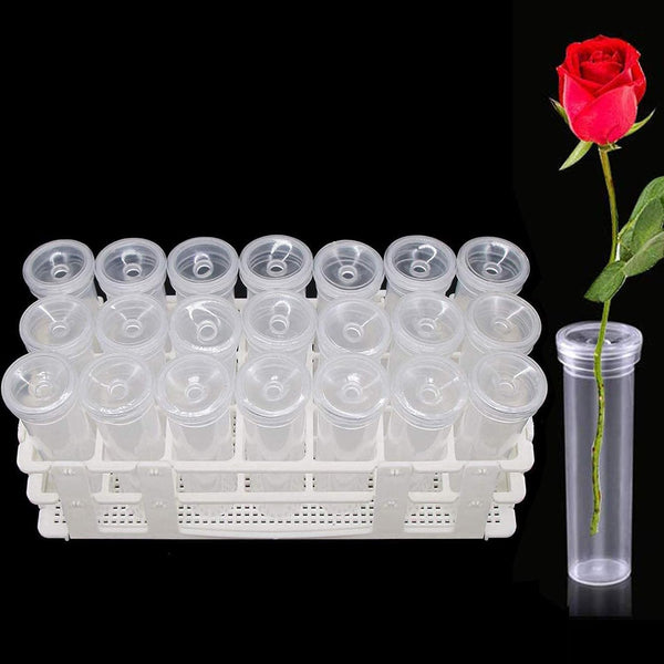 21 Pack 60Ml Large Floral Tubes With Rack Holder For Milkweed Cuttings Raising Caterpillars Monarchs Butterflies Flower Arrangements Crafting Tools