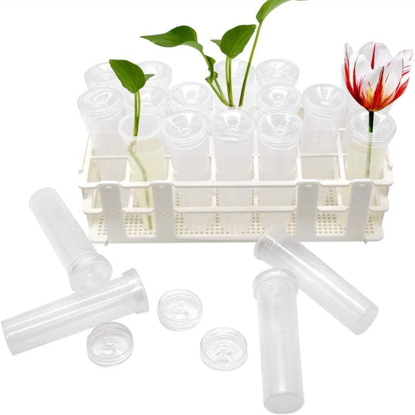 21 Pack 60Ml Large Floral Tubes With Rack Holder For Milkweed Cuttings Raising Caterpillars Monarchs Butterflies Flower Arrangements Crafting Tools