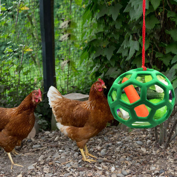 2Pcs Chicken Vegetable Feeder Ball Hanging Feeding Toy Poultry Fruit Holder Cabbage Treat Tool For Hens Coop Goose Duck Large Birds Backyard Poultry F