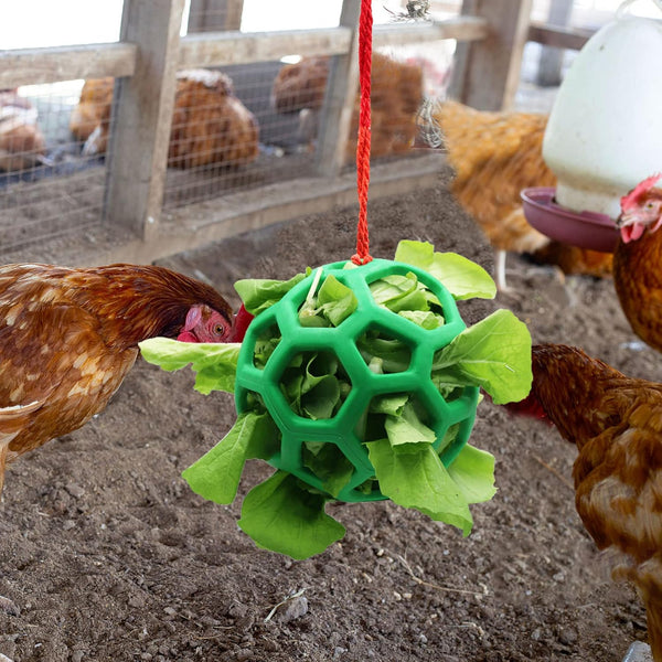 2Pcs Chicken Vegetable Feeder Ball Hanging Feeding Toy Poultry Fruit Holder Cabbage Treat Tool For Hens Coop Goose Duck Large Birds Backyard Poultry F