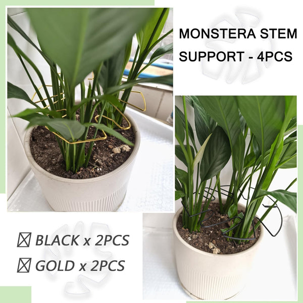4Pcs Iron Plant Stem Supports Monstera Outdoor Indoor Accessories 2 Colour Turtle Shell Bamboo Clamp Set For Thriving Growth (Gold+Black) Plant Ties &