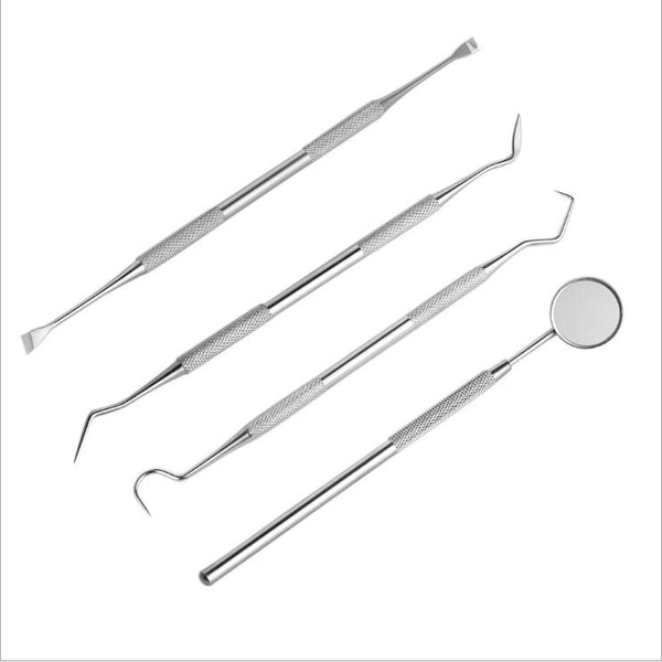 Dentist Stainless Steel Tartar Remover Set Of 4 Dental Instruments