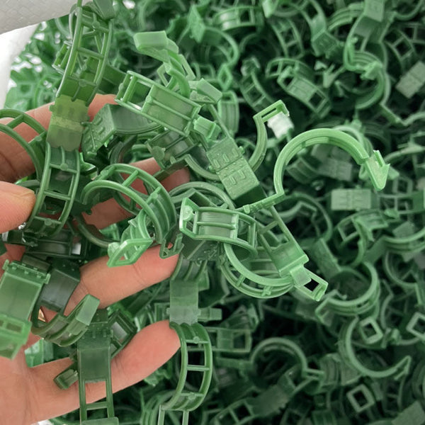 100/200/300Pcs Plant Support Clips Clamps For Climbing Plants Grafting Tools Upright Growing Reusable (Green/White) 200Pcs Plant Ties & Supports