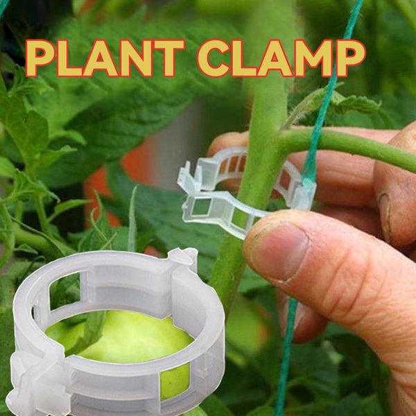 100/200/300Pcs Plant Support Clips Clamps For Climbing Plants Grafting Tools Upright Growing Reusable (Green/White) 200Pcs Plant Ties & Supports