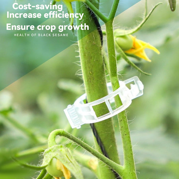 100/200/300Pcs Plant Support Clips Clamps For Climbing Plants Grafting Tools Upright Growing Reusable (Green/White) 200Pcs Plant Ties & Supports