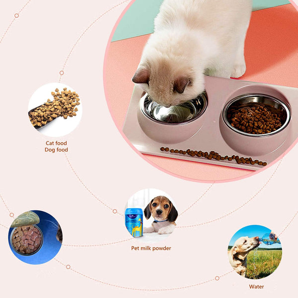 Cat Food Bowl Double Stainless Steel Non Slip Bowls Set Cat Bowls