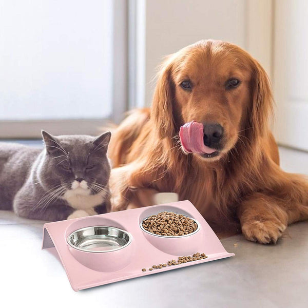 Cat Food Bowl Double Stainless Steel Non Slip Bowls Set Cat Bowls